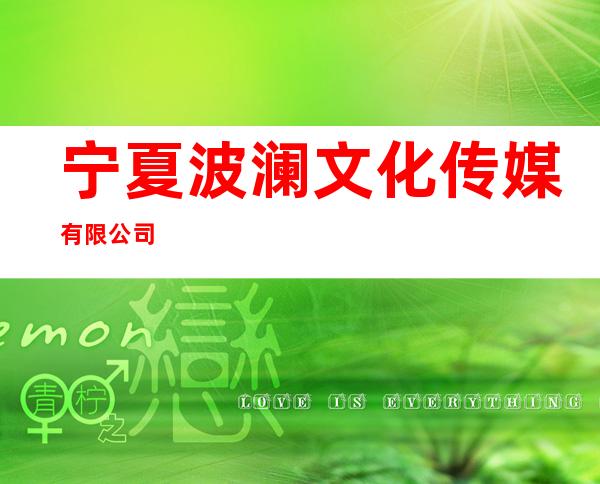 宁夏波澜文化传媒有限公司
